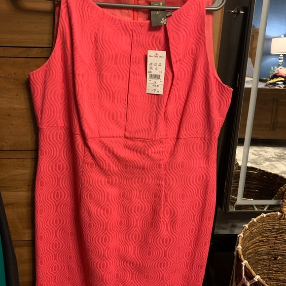 Dress from Laura. Size 14 but fits like a 12. Beautiful hot pink colour. - Picture 2 of 5